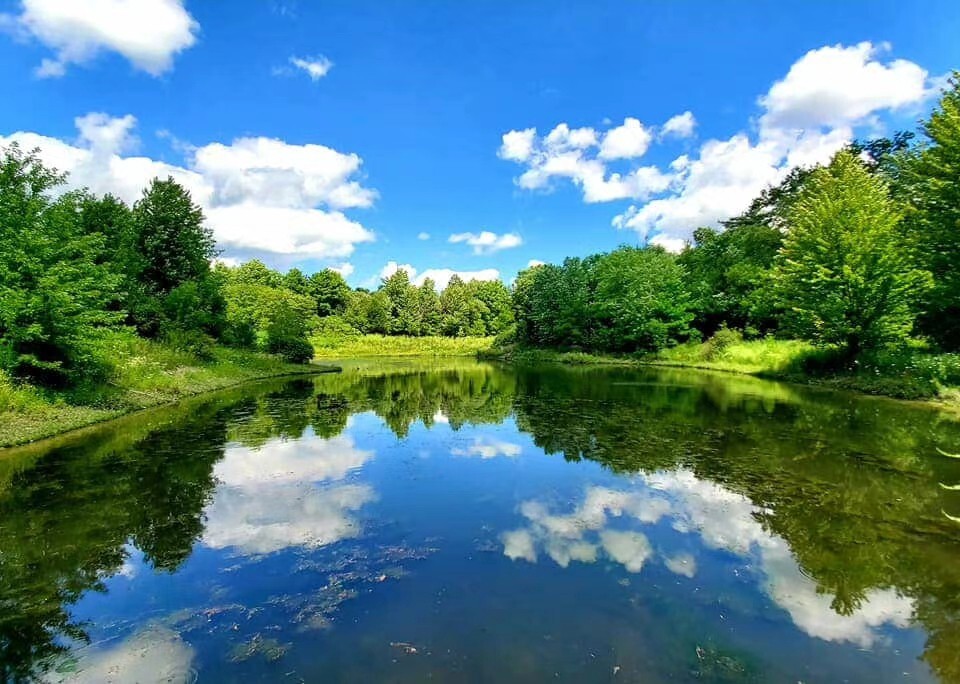 回溫期養(yǎng)蝦如何治弧菌？